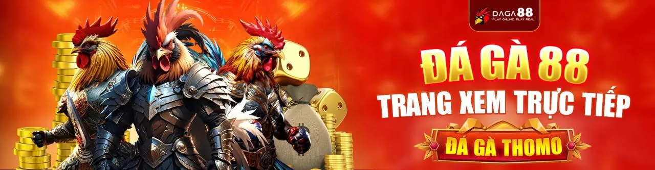 Banner Ưu Đãi Mới Nhất t888 nhà cái